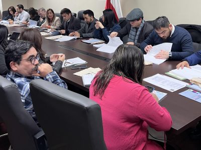 Se realizó en La Araucanía Comité Directivo Regional para la Prevención, Tratamiento e Integración social